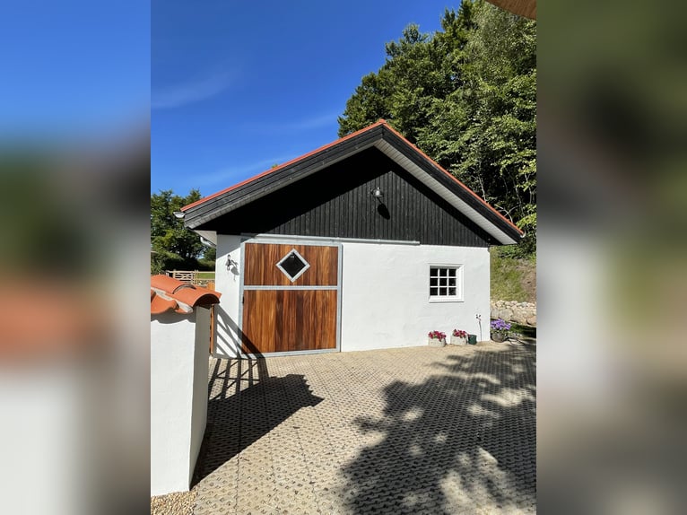 Denemarken - Luxe landleven met je eigen paarden