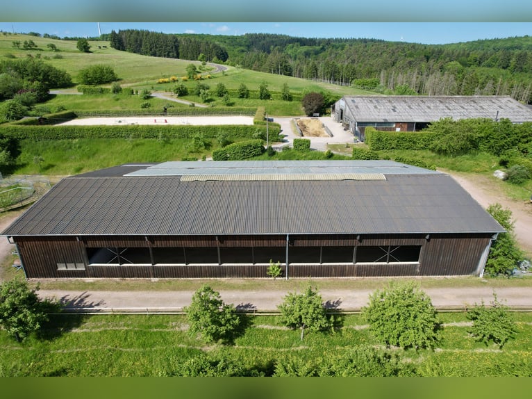 Droomachtig groot ruitercomplex in panoramalocatie tussen Trier en Luxemburg