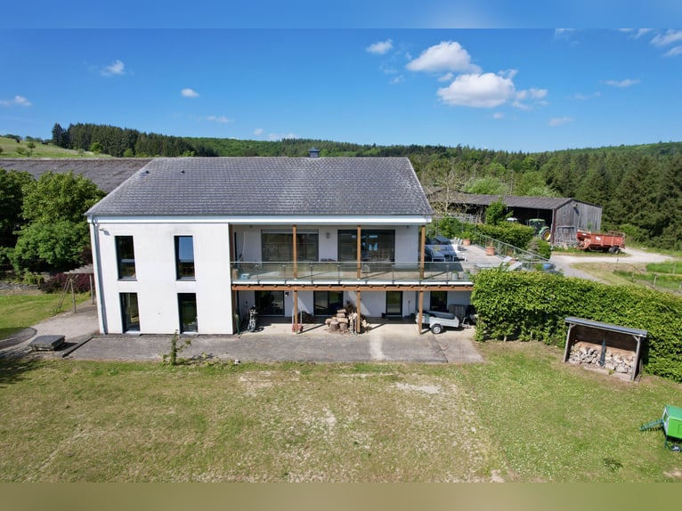 Droomachtig groot ruitercomplex in panoramalocatie tussen Trier en Luxemburg