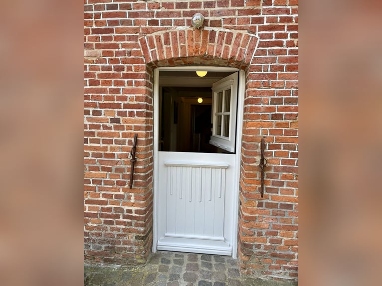 Droomachtig rieten dak landhuis op 1,8 hectare nabij Sylt
