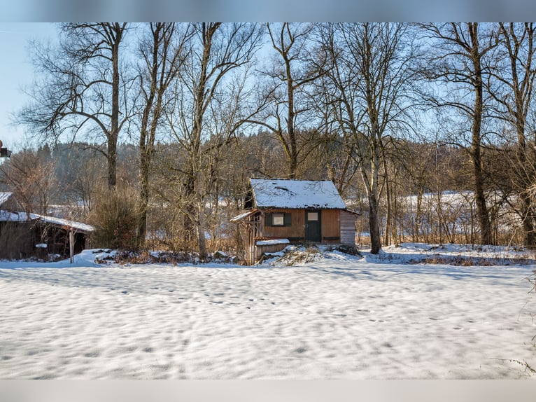 Droomhuis met uitgebreide paardenfaciliteiten in Zeilarn (oostelijk van München), zonder commissie