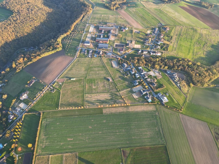 Droomperceel van 2.075 m² voor paarden en mensen met bouwrecht voor een paardenstal in Lonnig/Rheinl