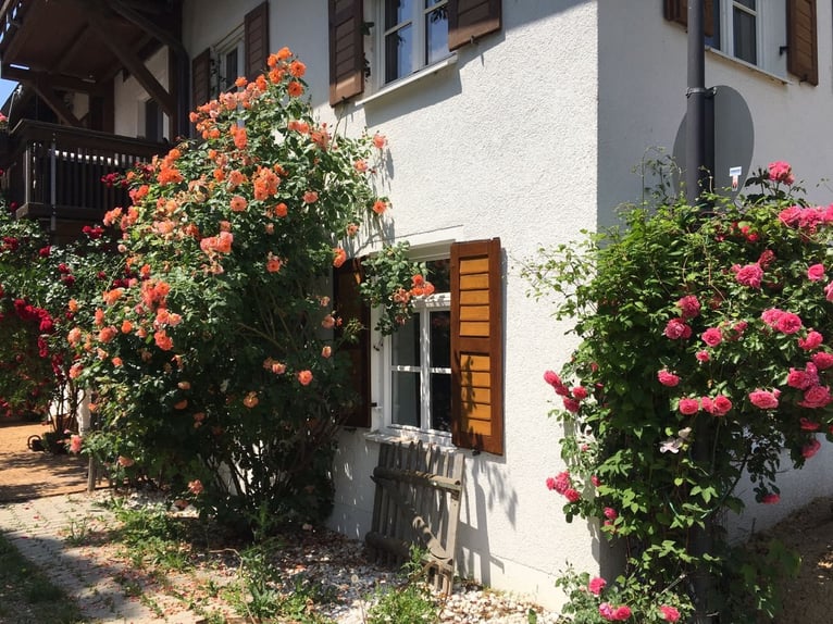 Droomwoning voor paardenliefhebbers — Eigentijdse appartement direct aan de paardenboerderij