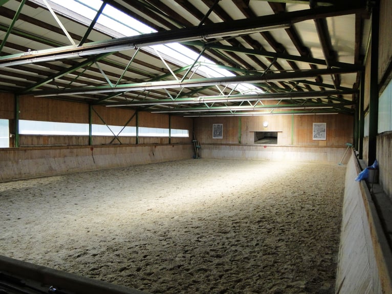 Droomwoning voor paardenliefhebbers in het Allgäu met een adembenemend uitzicht op de Alpen, VERKOOP