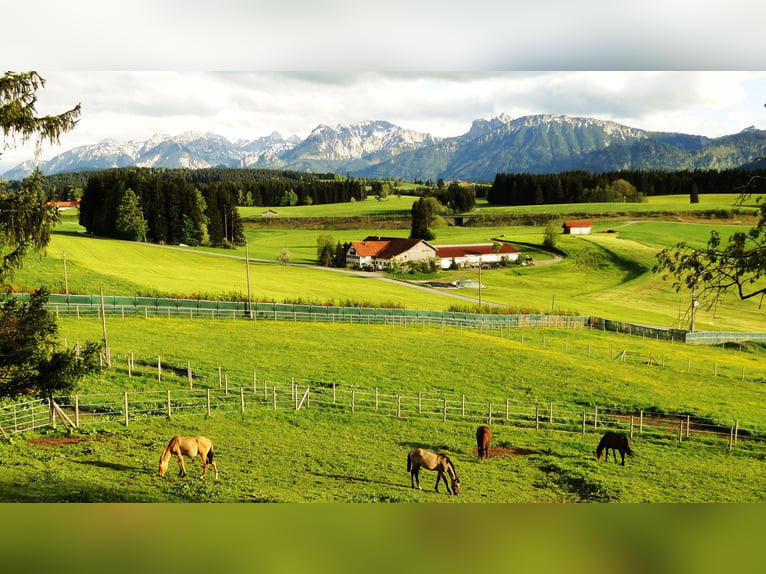 Droomwoning voor paardenliefhebbers in het Allgäu met een adembenemend uitzicht op de Alpen, VERKOOP
