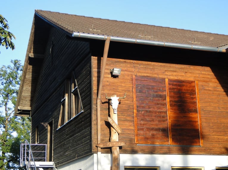Droomwoning voor paardenliefhebbers in het Allgäu met een adembenemend uitzicht op de Alpen, VERKOOP