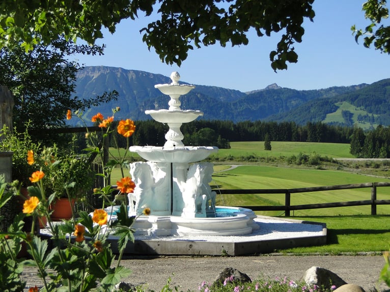 Droomwoning voor paardenliefhebbers in het Allgäu met een adembenemend uitzicht op de Alpen, VERKOOP