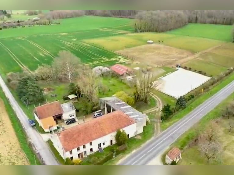 Ecurie de propriétaires clés en mains