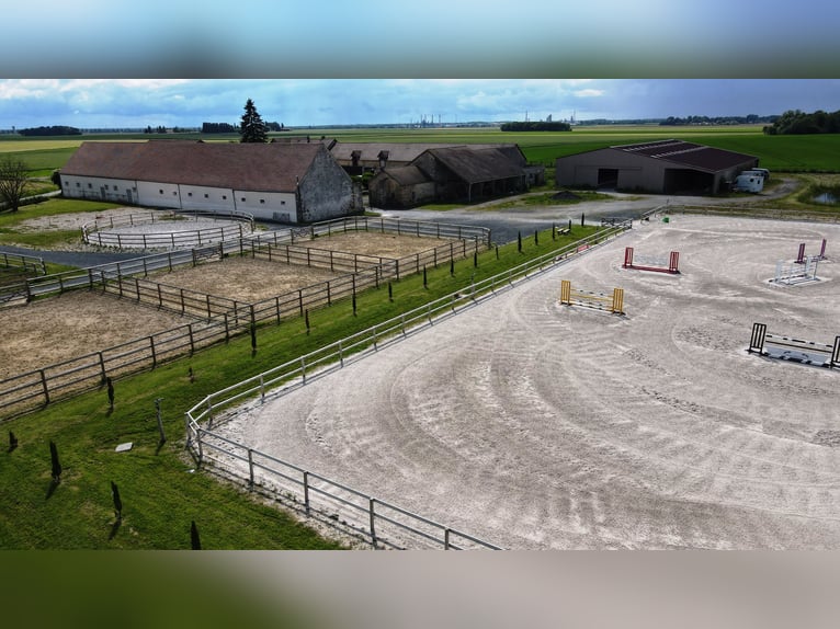 Eigenaren- en valorisatie-stal