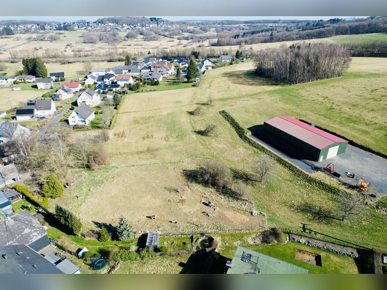 Einfamilienhaus mit Pferde- bzw. Tierhaltung und weiteren Nutzungsmöglichkeiten