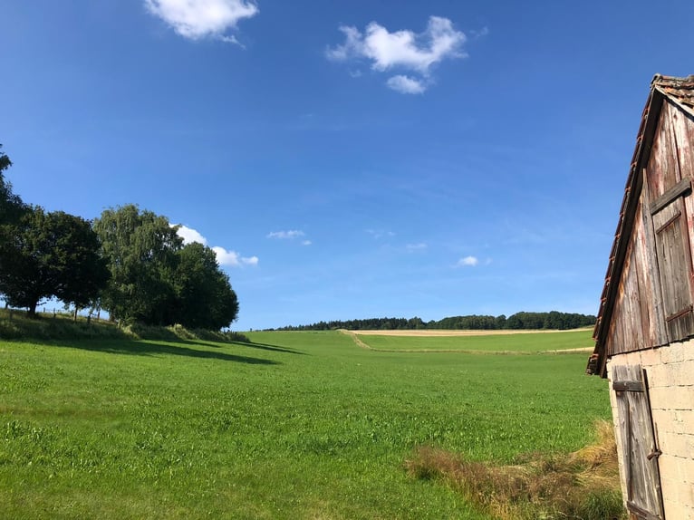 Einzigartiges Grundstück zur Errichtung einer neuen Reitanlage oder für andere Zwecke in bester Lage