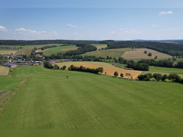 Einzigartiges Grundstück zur Errichtung einer neuen Reitanlage oder für andere Zwecke in bester Lage