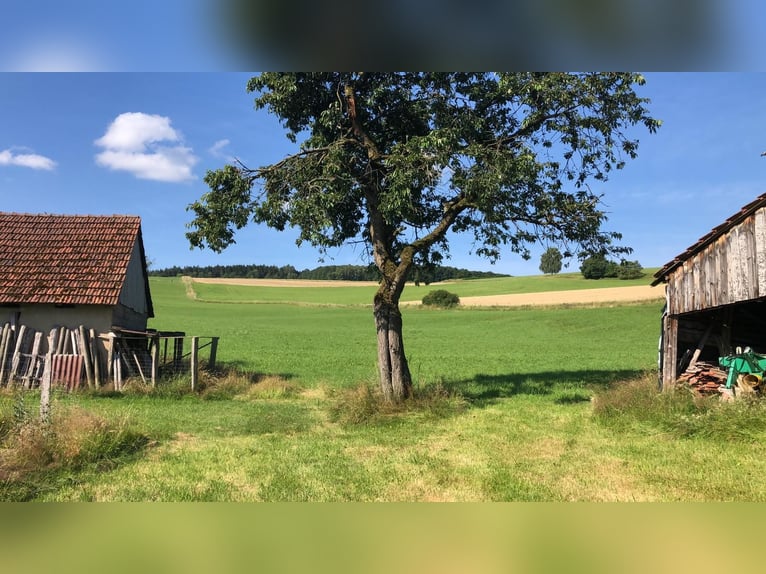 Einzigartiges Grundstück zur Errichtung einer neuen Reitanlage oder für andere Zwecke in bester Lage