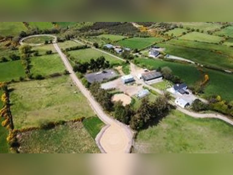 Equestrian Centres for sale in Mallow