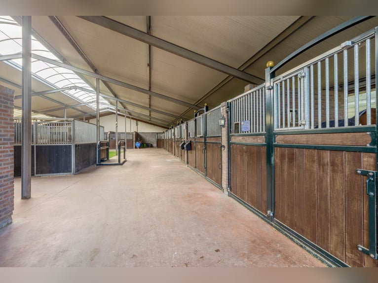 Estate with Professional Equestrian Facilities and Spacious Living Options