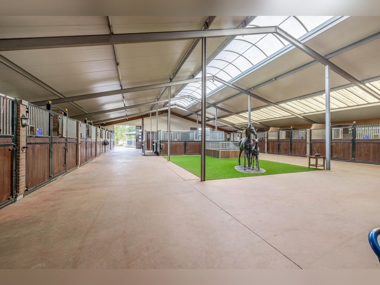 Estate with Professional Equestrian Facilities and Spacious Living Options