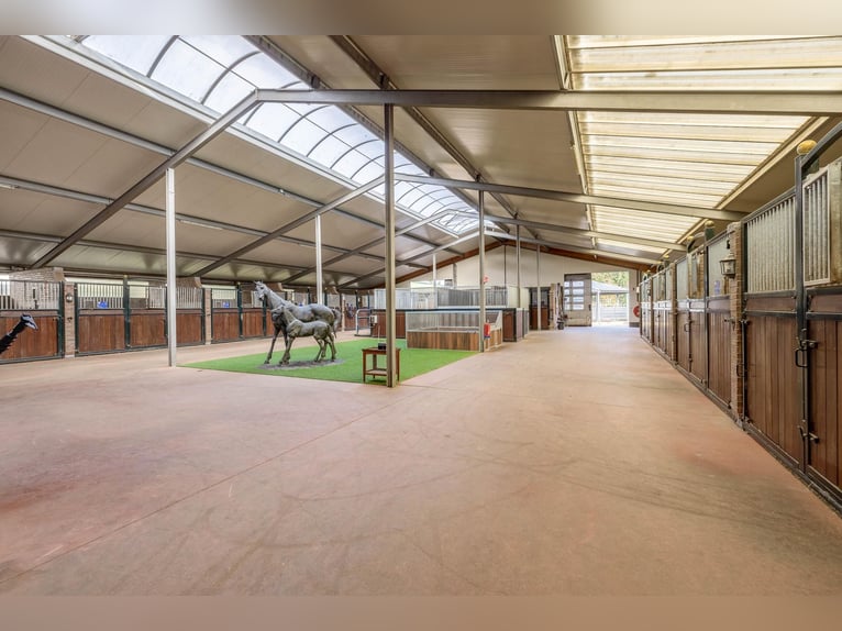 Estate with Professional Equestrian Facilities and Spacious Living Options