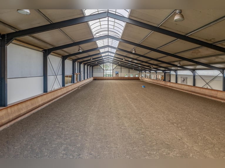 Estate with Professional Equestrian Facilities and Spacious Living Options