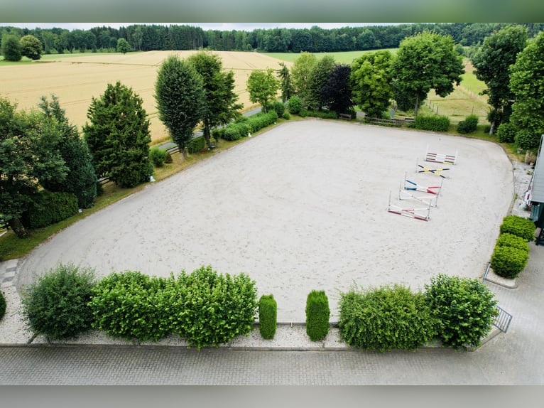 Exclusief landgoed met hoogwaardige rijbaan op een prachtige locatie