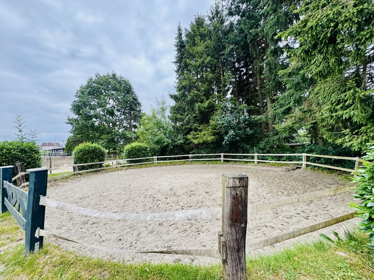 Exclusief landgoed met hoogwaardige rijbaan op een prachtige locatie