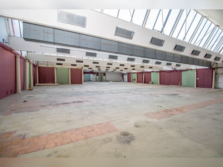Exclusief landgoed met villa, rijhal en manegecomplex aan een privémeer te koop