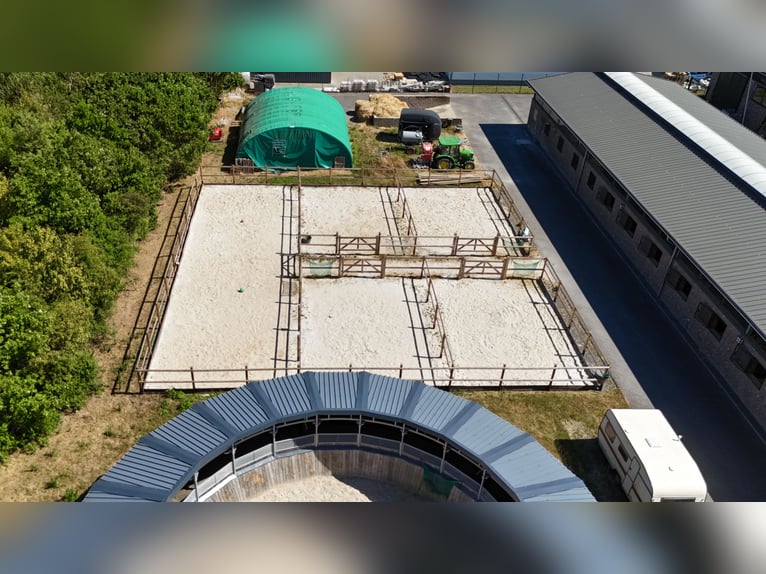 Exclusief manegecomplex bij Nationaal Park Eifel – hoogwaardige uitrusting en korte afstanden