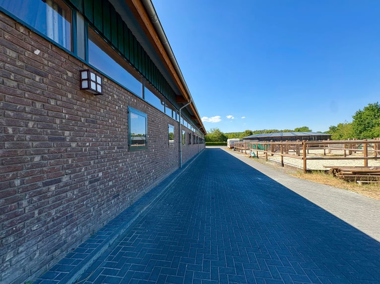 Exclusief manegecomplex bij Nationaal Park Eifel – hoogwaardige uitrusting en korte afstanden