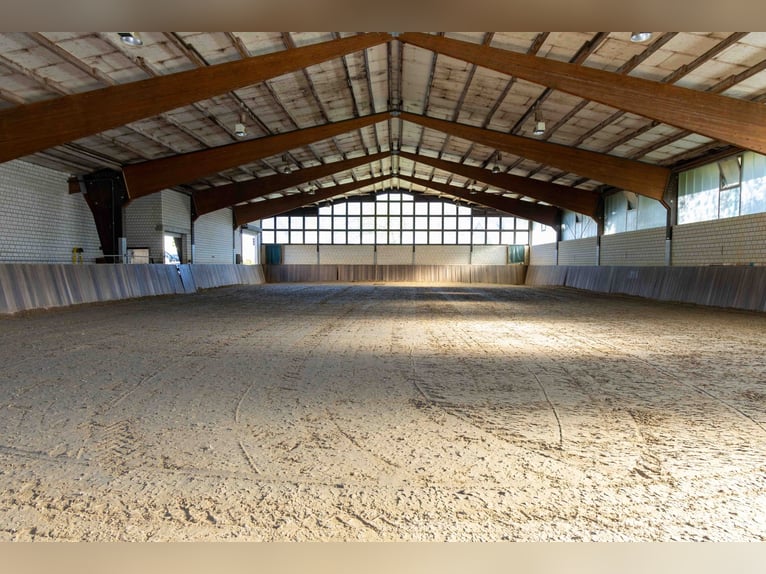 Exclusief manegecomplex in Sauerland | Landhuis, vakantiewoningen, rijhal met uitbreidingsmogelijkhe