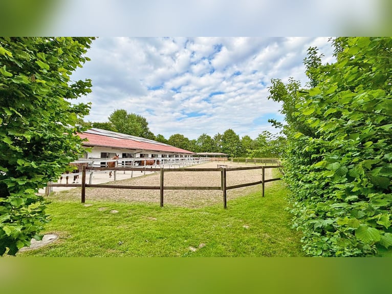 Exclusief manegecomplex met ruime woning en diverse gebruiksmogelijkheden in Bielefeld