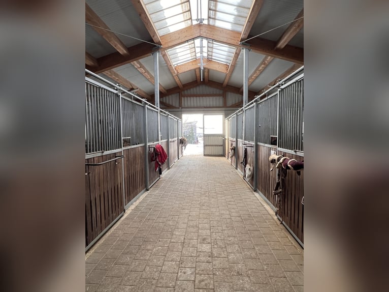 Exclusief manegecomplex met woon- en rendementsmogelijkheden in het Allgäu