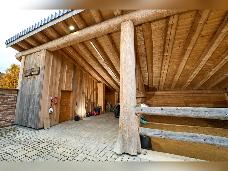 Exclusief paardenlandgoed midden in de natuur van de Eifel