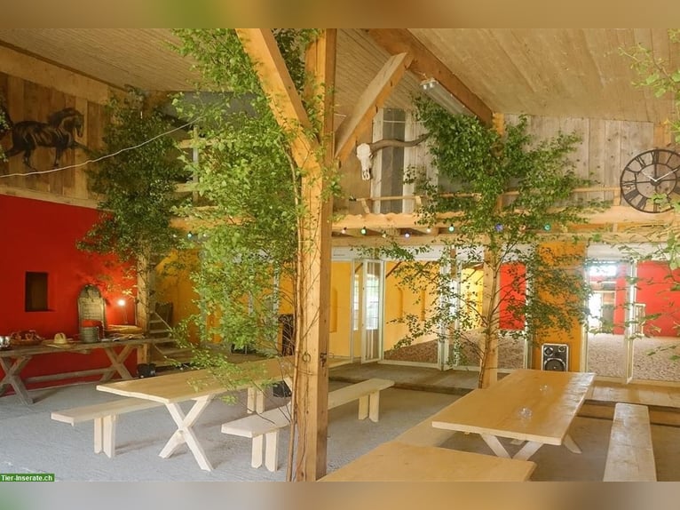 Exclusief paardenpension in de Vogezen