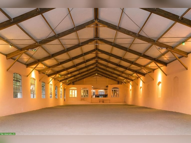 Exclusief paardenpension in de Vogezen