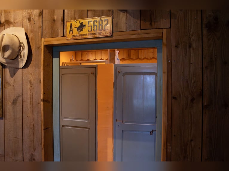 Exclusief paardenpension in de Vogezen