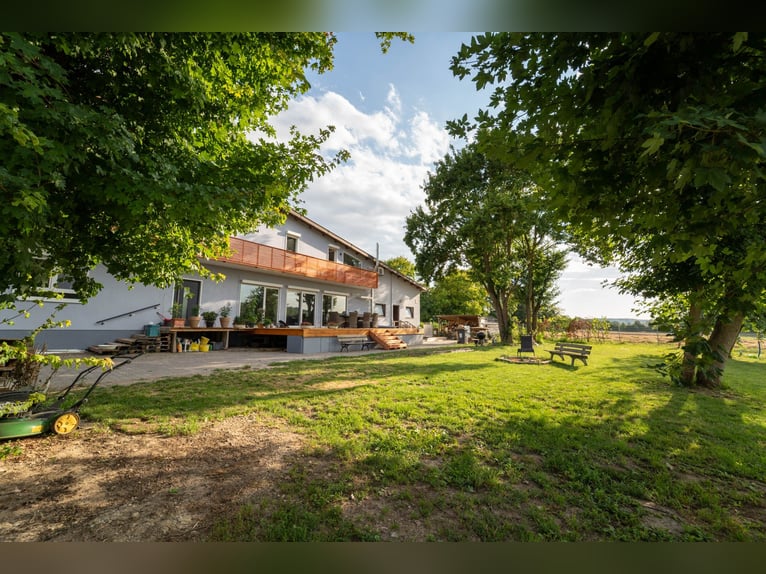 Exclusief paardenpension met een recent gerenoveerd woonhuis, rijhal en ruime weilanden