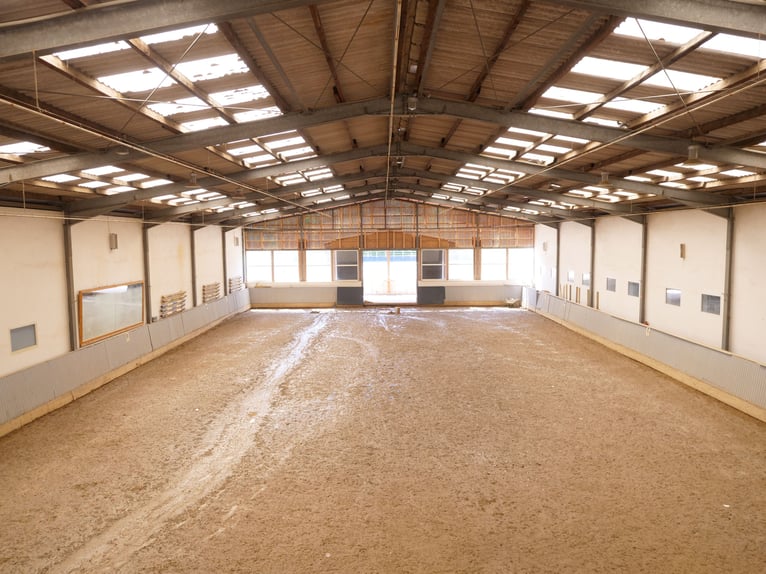 Exclusief paardenpension met een recent gerenoveerd woonhuis, rijhal en ruime weilanden