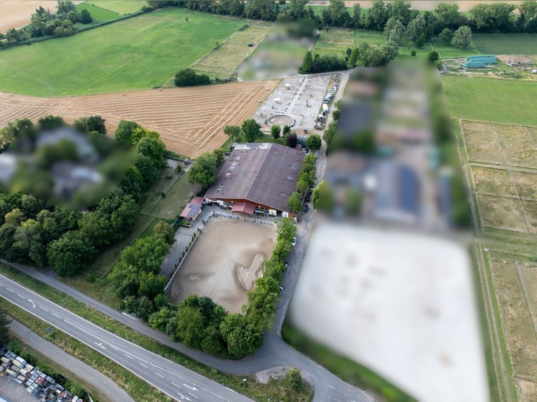 Exclusief paardenpension met een recent gerenoveerd woonhuis, rijhal en ruime weilanden