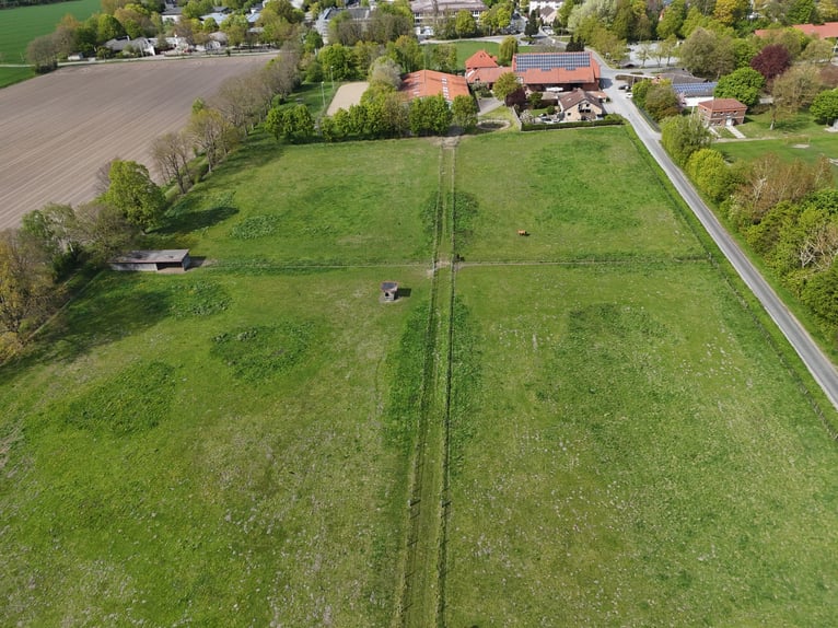 Exclusief paardenpension met stijlvol woonhuis, ruime weiden en een bijzondere rijbaan