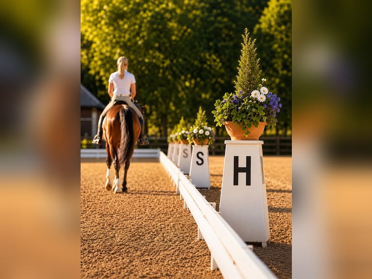 Exclusief paardensportcomplex met kliniek en paardenrevalidatie nabij Stuttgart