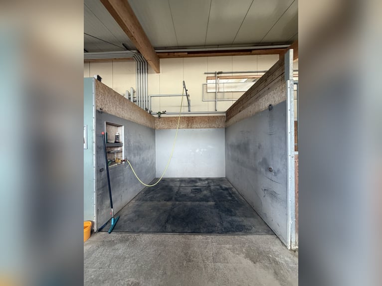 Exclusief ruitersportcentrum met moderne opslaghal bij Mühldorf - 388-26