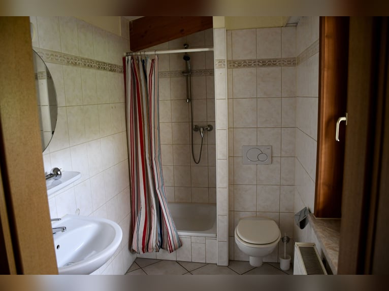 Exclusieve manege te huur: perfecte verbinding & idyllische ligging in het groen - Bremen-Borgfeld