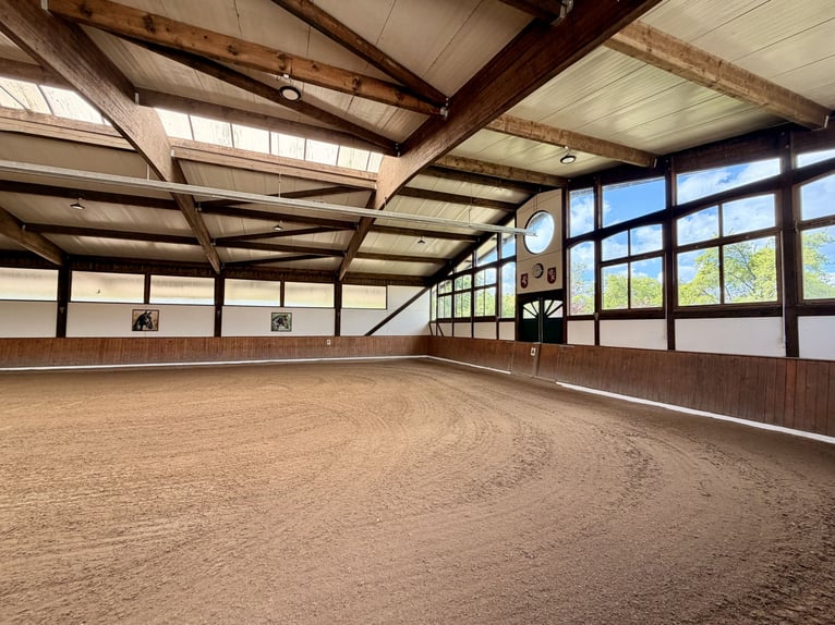 Exclusieve manege te huur: perfecte verbinding & idyllische ligging in het groen - Bremen-Borgfeld