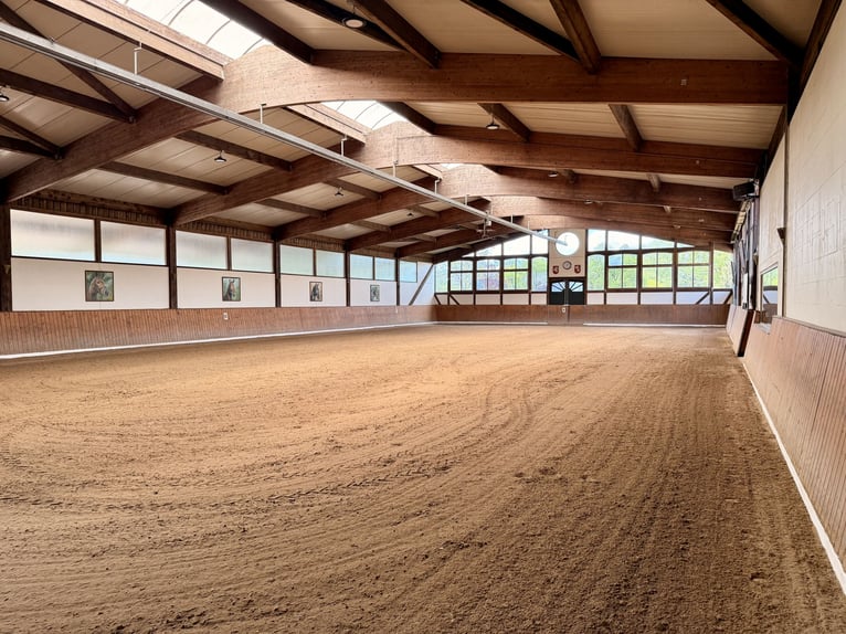 Exclusieve manege te huur: perfecte verbinding & idyllische ligging in het groen - Bremen-Borgfeld