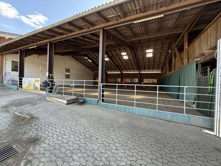 Exclusieve paardenboerderij met rijhal en meergezinswoning – rendement en levenskwaliteit verenigd