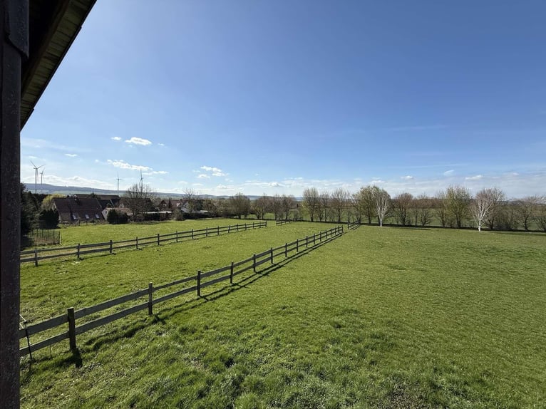 Exclusieve paardenboerderij met rijhal en meergezinswoning – rendement en levenskwaliteit verenigd