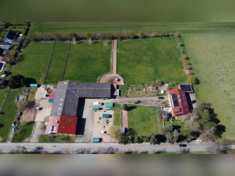Exclusieve paardenboerderij met rijhal en meergezinswoning – rendement en levenskwaliteit verenigd