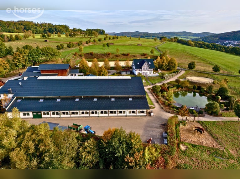 Exclusieve paardensportaccommodatie met een vrijstaande woning en twee woon-/gastenverblijven op cir