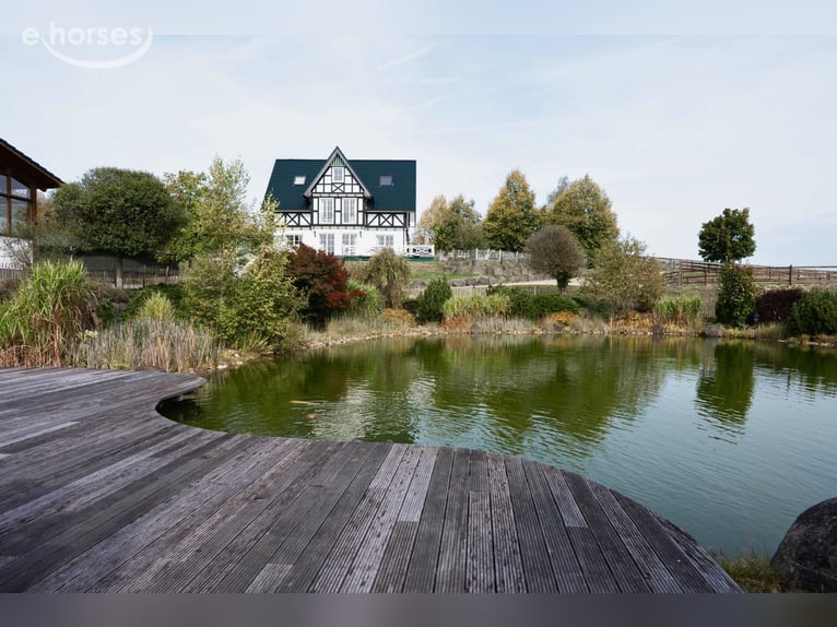 Exclusieve paardensportaccommodatie met een vrijstaande woning en twee woon-/gastenverblijven op cir