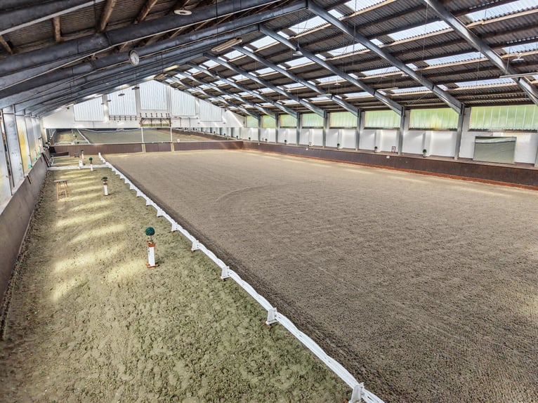 Exclusieve paardenstal met topuitrusting. Vergunning voor een aanzienlijke uitbreiding aanwezig.