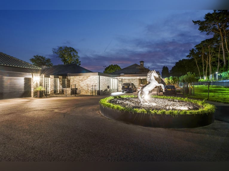 Exclusive Villa with Guesthouse and Equestrian Facilities near De Meinweg National Park